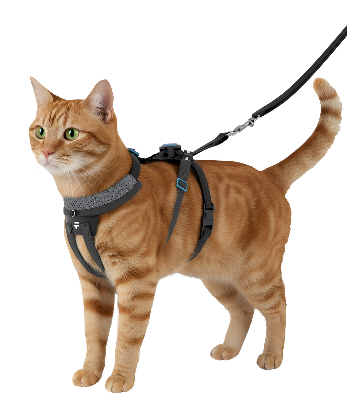 FURTHR™ X1 Explore Harness with Omni-Fit™ Button