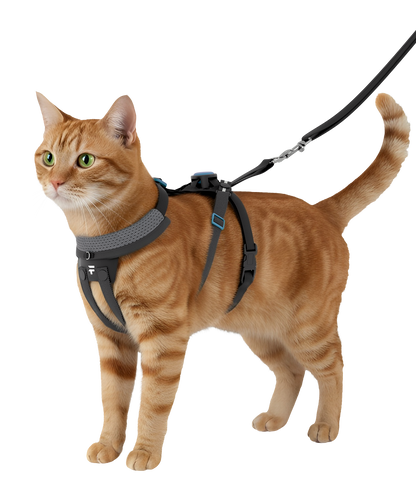 FURTHR™ X1 Explore Harness with Omni-Fit™ Button