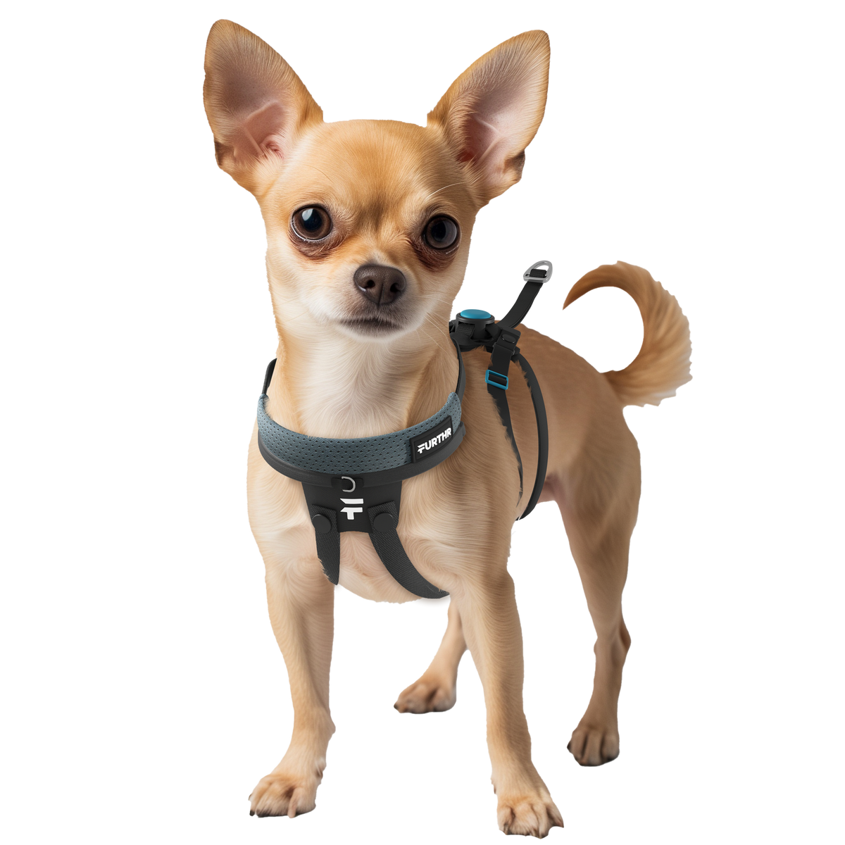 FURTHR™ X1 Explore Harness with Omni-Fit™ Button