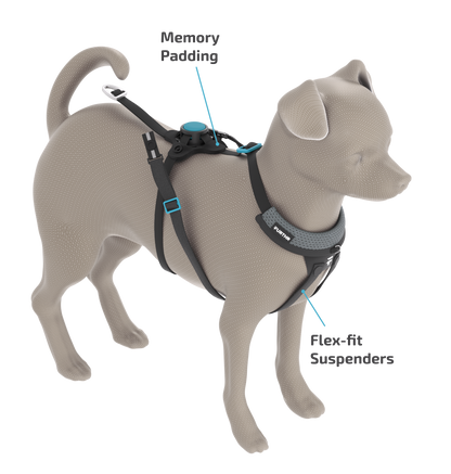 FURTHR™ X1 Explore Harness with Omni-Fit™ Button
