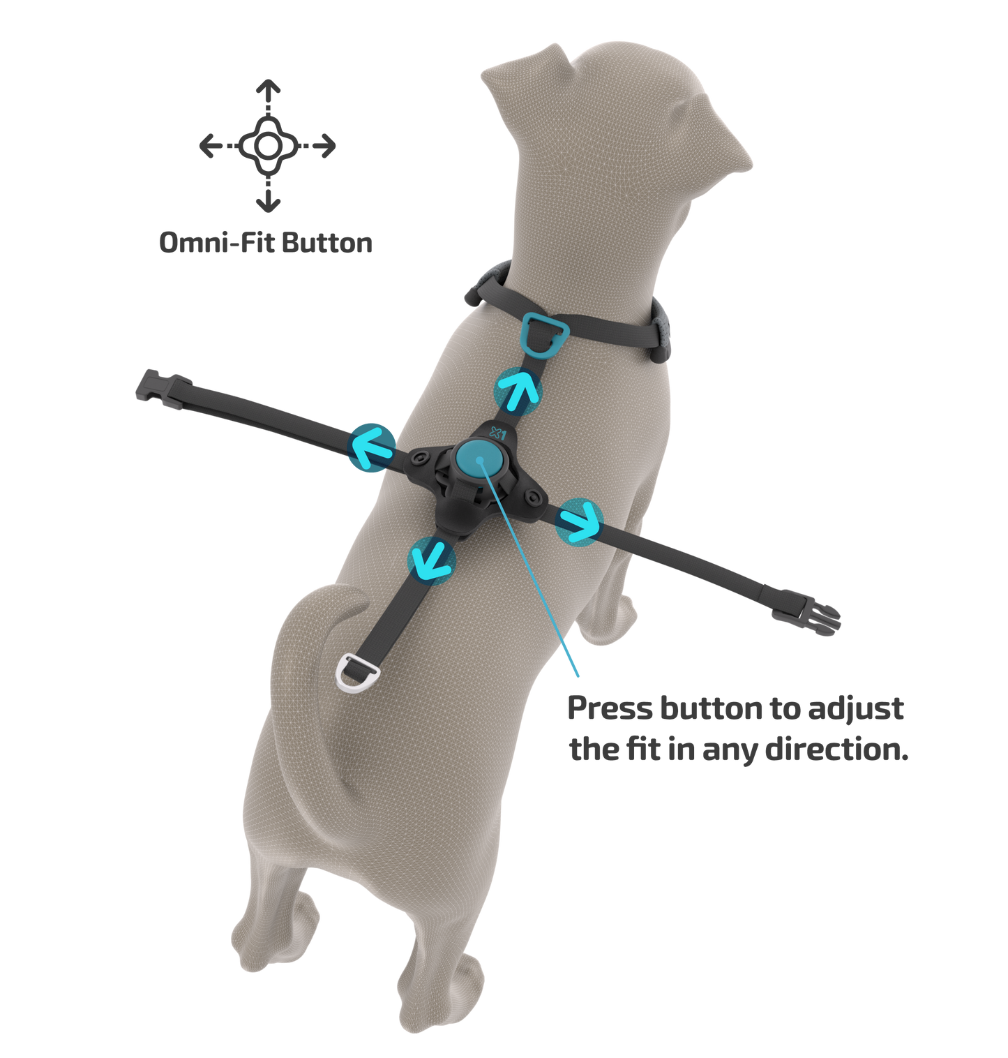 FURTHR™ X1 Explore Harness with Omni-Fit™ Button