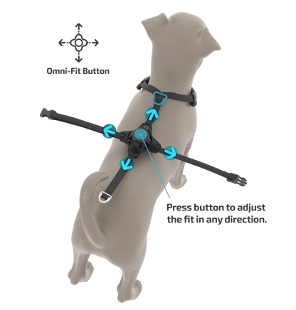 FURTHR™ X1 Explore Harness with Omni-Fit™ Button