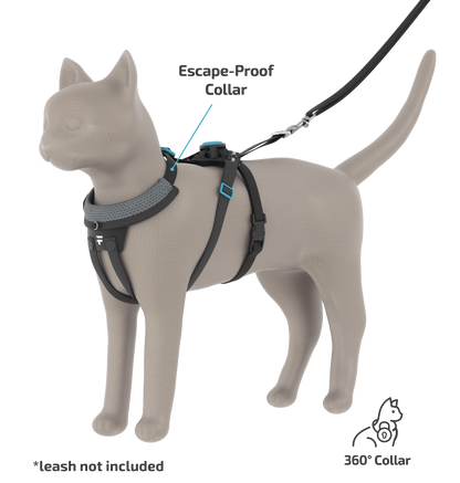 FURTHR™ X1 Explore Harness with Omni-Fit™ Button
