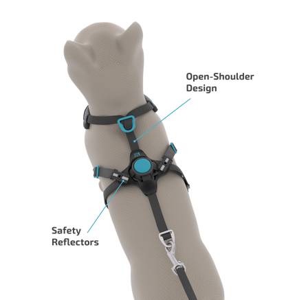 FURTHR™ X1 Explore Harness with Omni-Fit™ Button