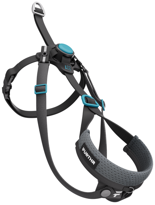 FURTHR™ X1 Explore Harness with Omni-Fit™ Button
