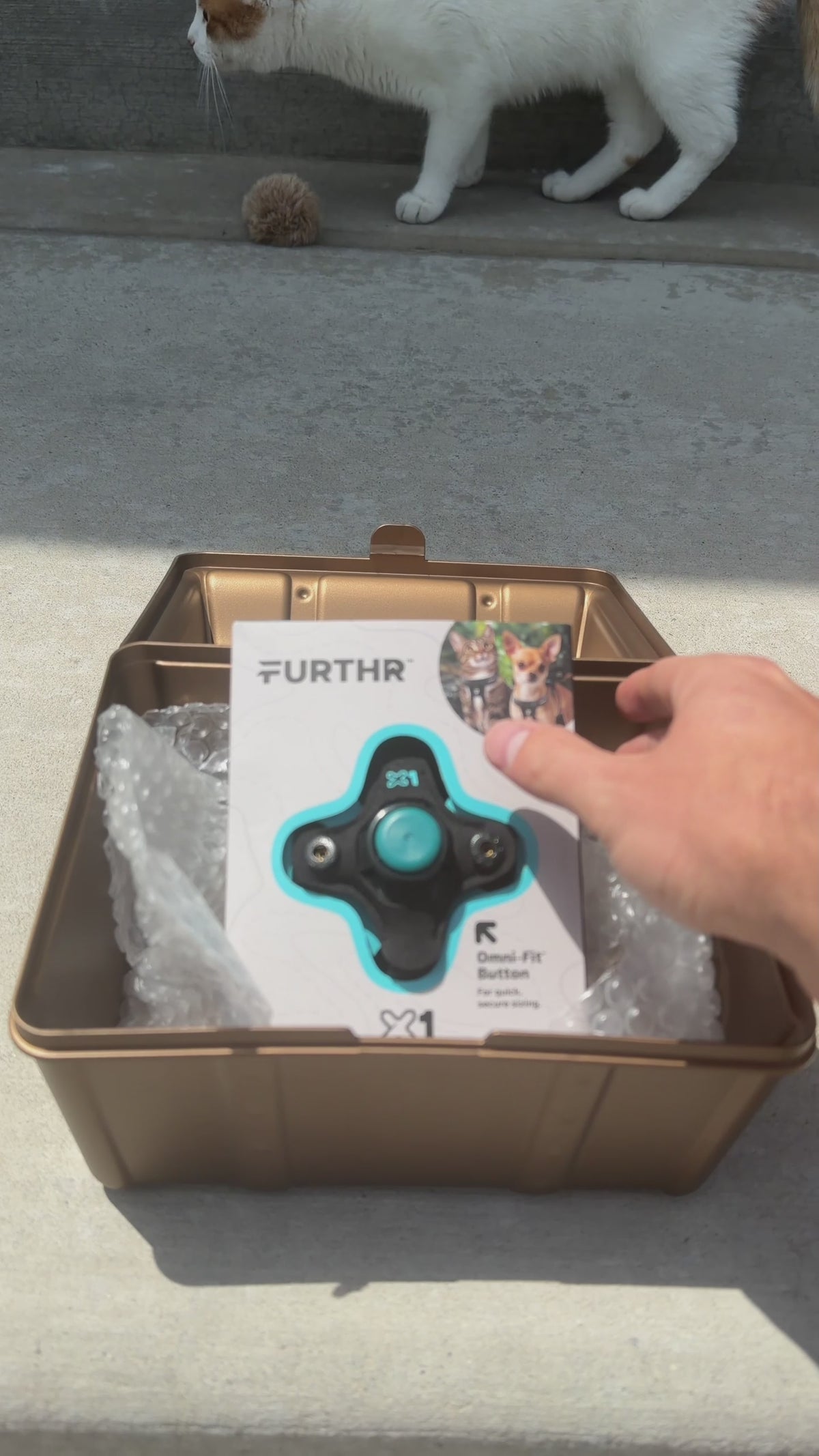 Load video: 